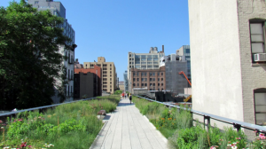 The High Line   Google Docs